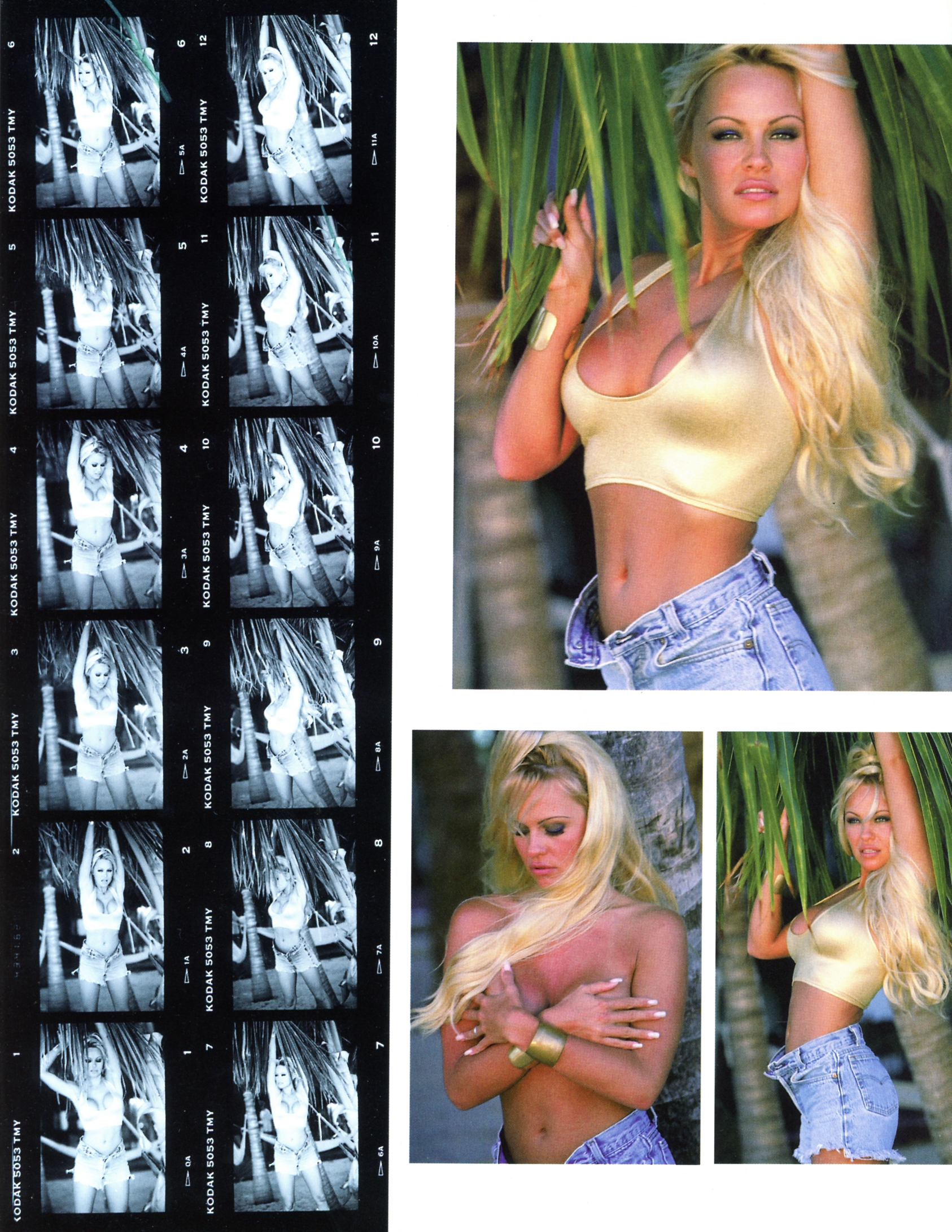 Pamela Anderson -- SCANMQ = Photographies De Stephen Wayda 17.jpg