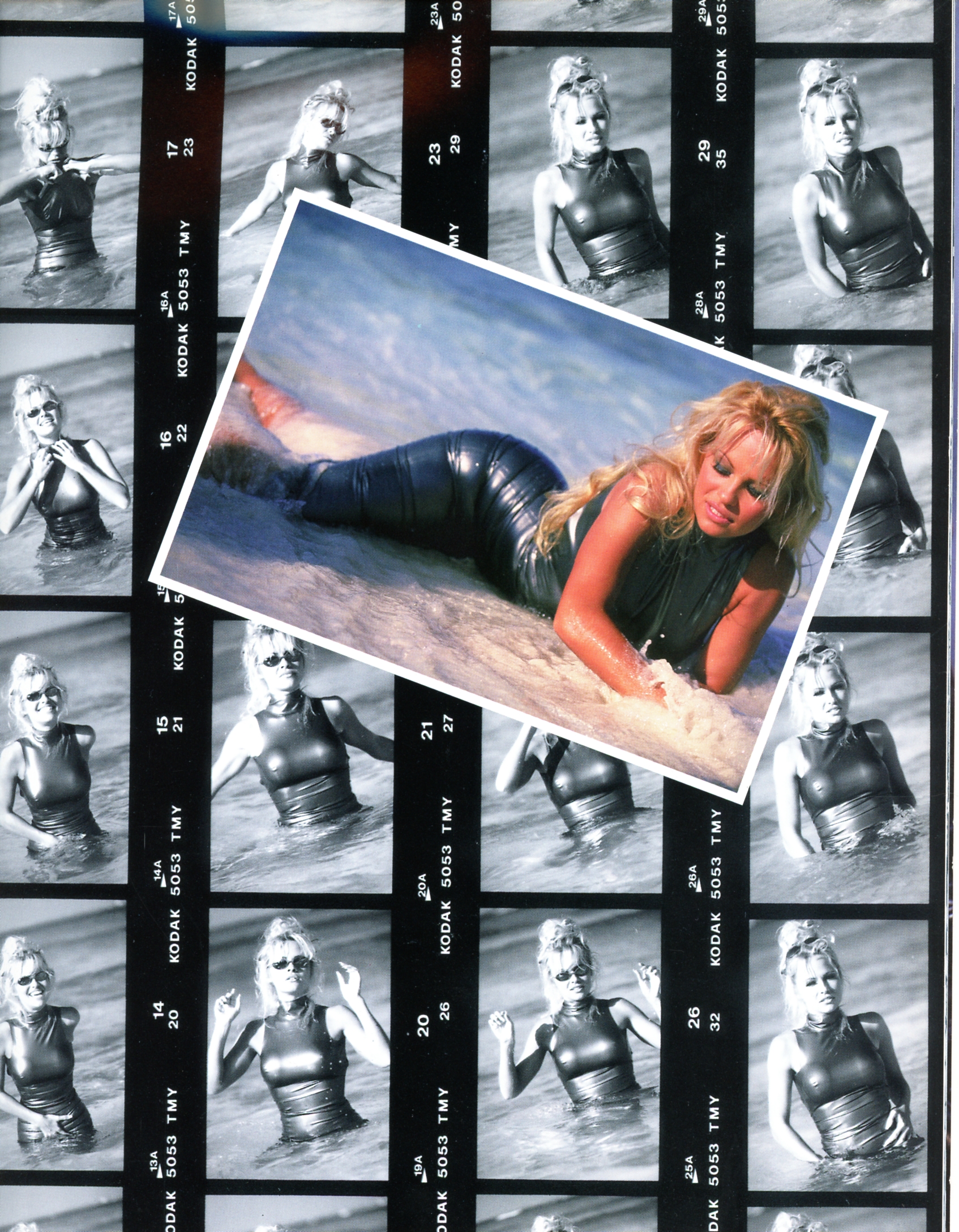 Pamela Anderson -- SCANMQ = Photographies De Stephen Wayda 4 19.jpg
