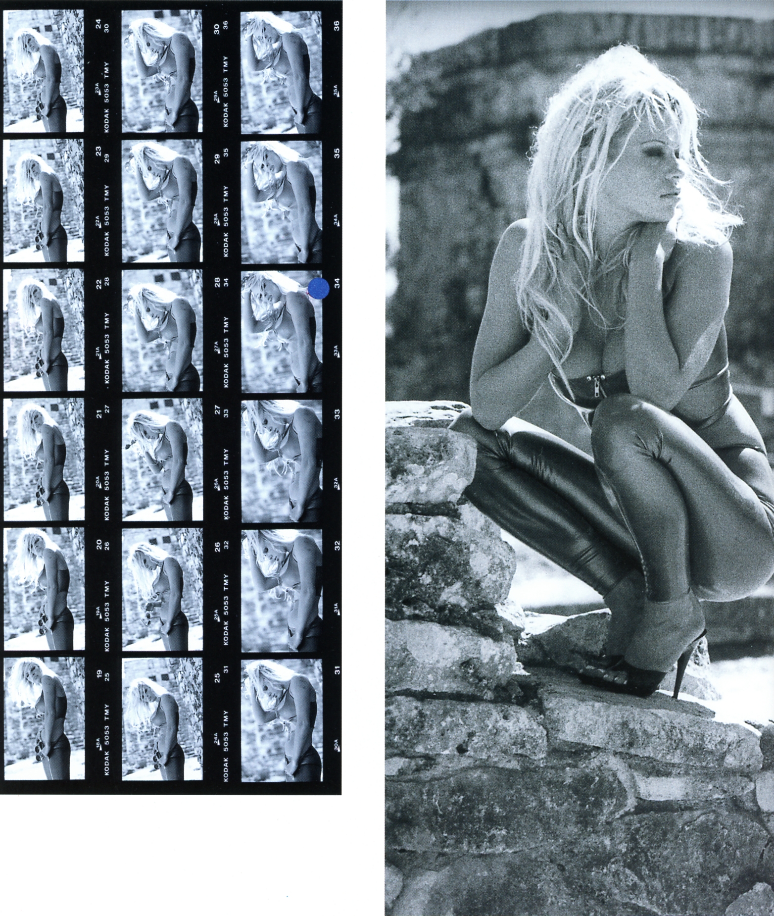 Pamela Anderson -- SCANMQ = Photographies De Stephen Wayda 4 23.jpg